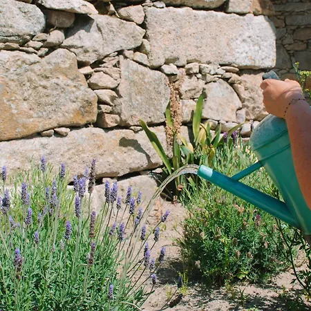 Villa Just Like - Casa Cesário