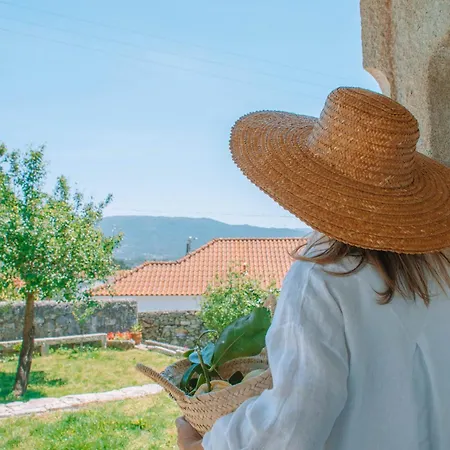 Just Like - Casa Cesário Vila Praia de Âncora