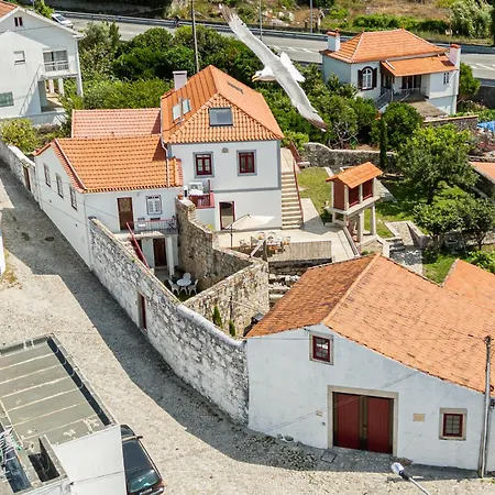 Just Like - Casa Cesario