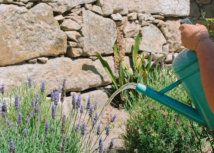 Villa Just Like - Casa Cesario